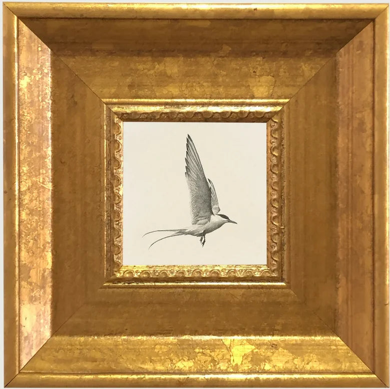 An elegant gold photo frame set featuring a white silhouette of a bird in flight.