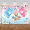 A pink and blue gender reveal backdrop featuring balloons, stars, and a teddy bear with text saying We can bearly wait to see