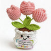 Handmade Crochet Tulip & Sunflower Potted Plant Set