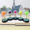 A set of glass vials containing colorful flowers used as an eternal rose LED night light display.