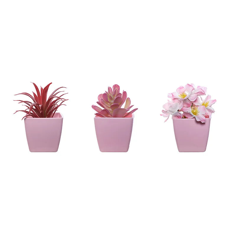 Three small potted succulent plants in pink ceramic pots for home decor
