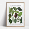 Botanical philodendron canvas wall art featuring various green plant leaves in a framed print.