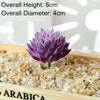 A purple succulent bonsai ball is planted in a gravel tray with a wooden frame.