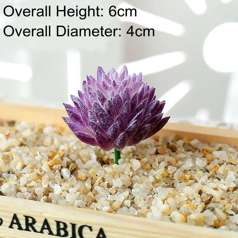 A purple succulent bonsai ball is planted in a gravel tray with a wooden frame.