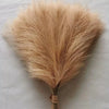 A bundle of dried, light tan pampas grass stems used for bohemian wedding and home decor.