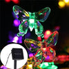 A glowing, iridescent butterfly light hangs, powered by a solar panel and string lights.