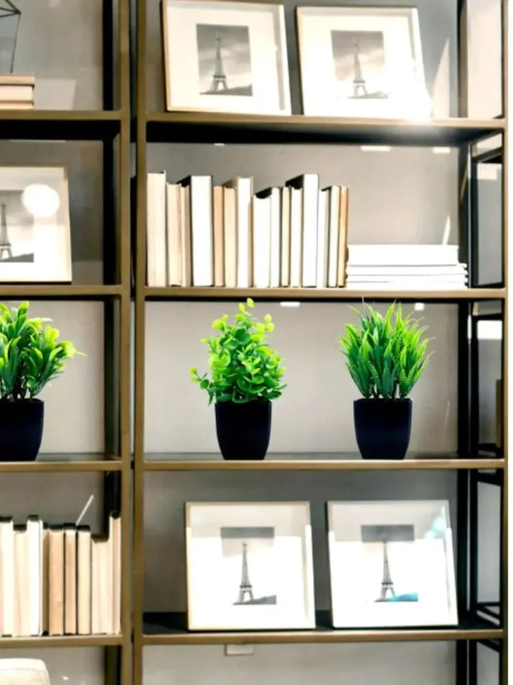 A display of potted artificial eucalyptus plants and framed art on wooden shelves.