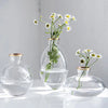 A set of three minimalist glass bud vases holding fresh white daisies.