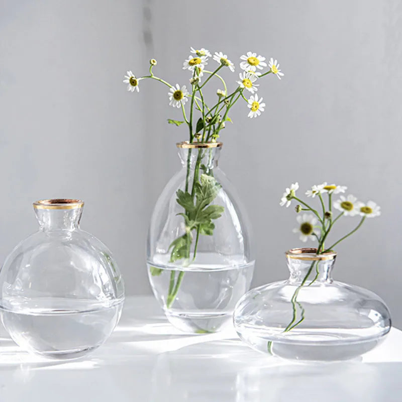 A set of three minimalist glass bud vases holding fresh white daisies.