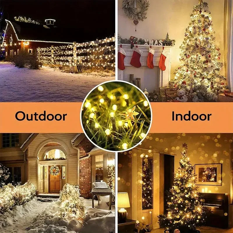 Outdoor and indoor scenes showing festive lighting, including string lights on a building and decorated Christmas trees.