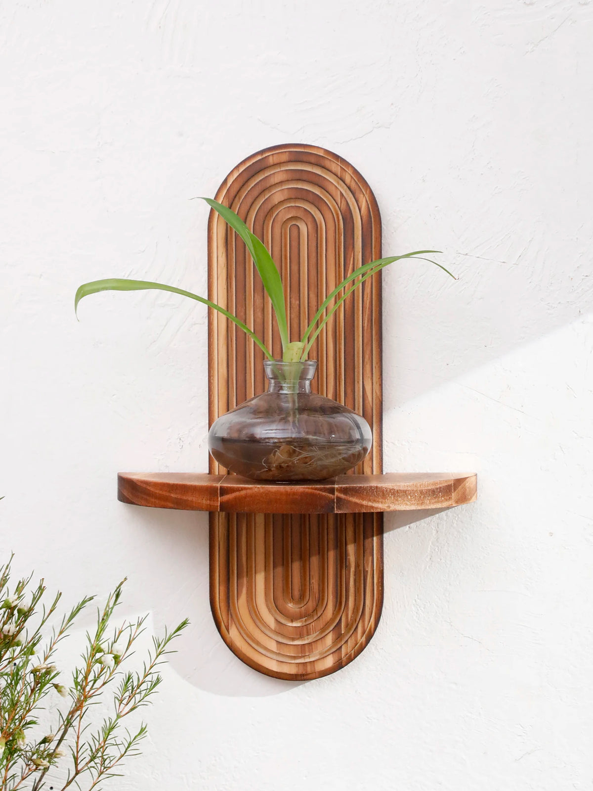 Two wooden wall shelves displaying a glass vase with a green plant against a white wall.