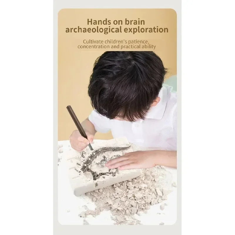 A child is excavating a fossil from a block of plaster using a brush, demonstrating archaeological exploration.