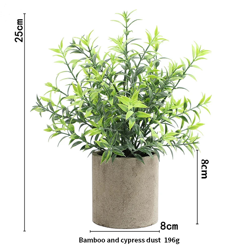 A lush green bamboo and cypress dust plant in a rustic gray pot.