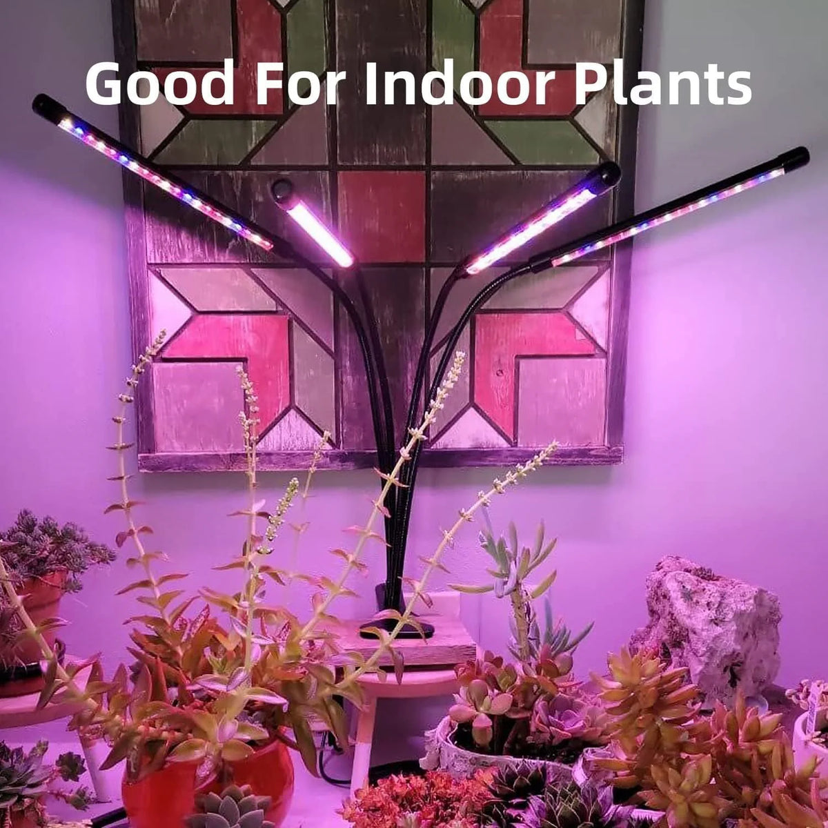 Une lampe de culture LED à spectre complet illumine diverses plantes d'intérieur sur une étagère.