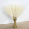 A bouquet of dried, fluffy beige pampas grass arranged in a clear glass vase.