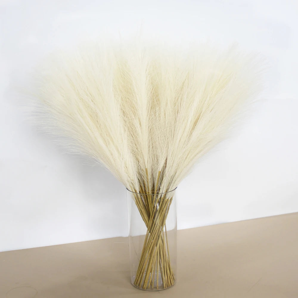 A bouquet of dried, fluffy beige pampas grass arranged in a clear glass vase.