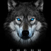 A close-up portrait of a wolf with bright blue eyes against a dark background, with the word FOCUS below.
