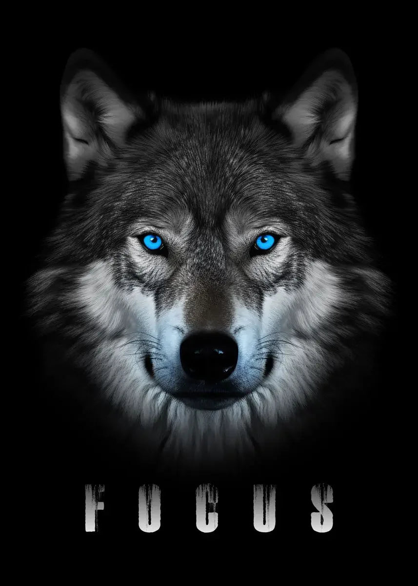A close-up portrait of a wolf with bright blue eyes against a dark background, with the word FOCUS below.