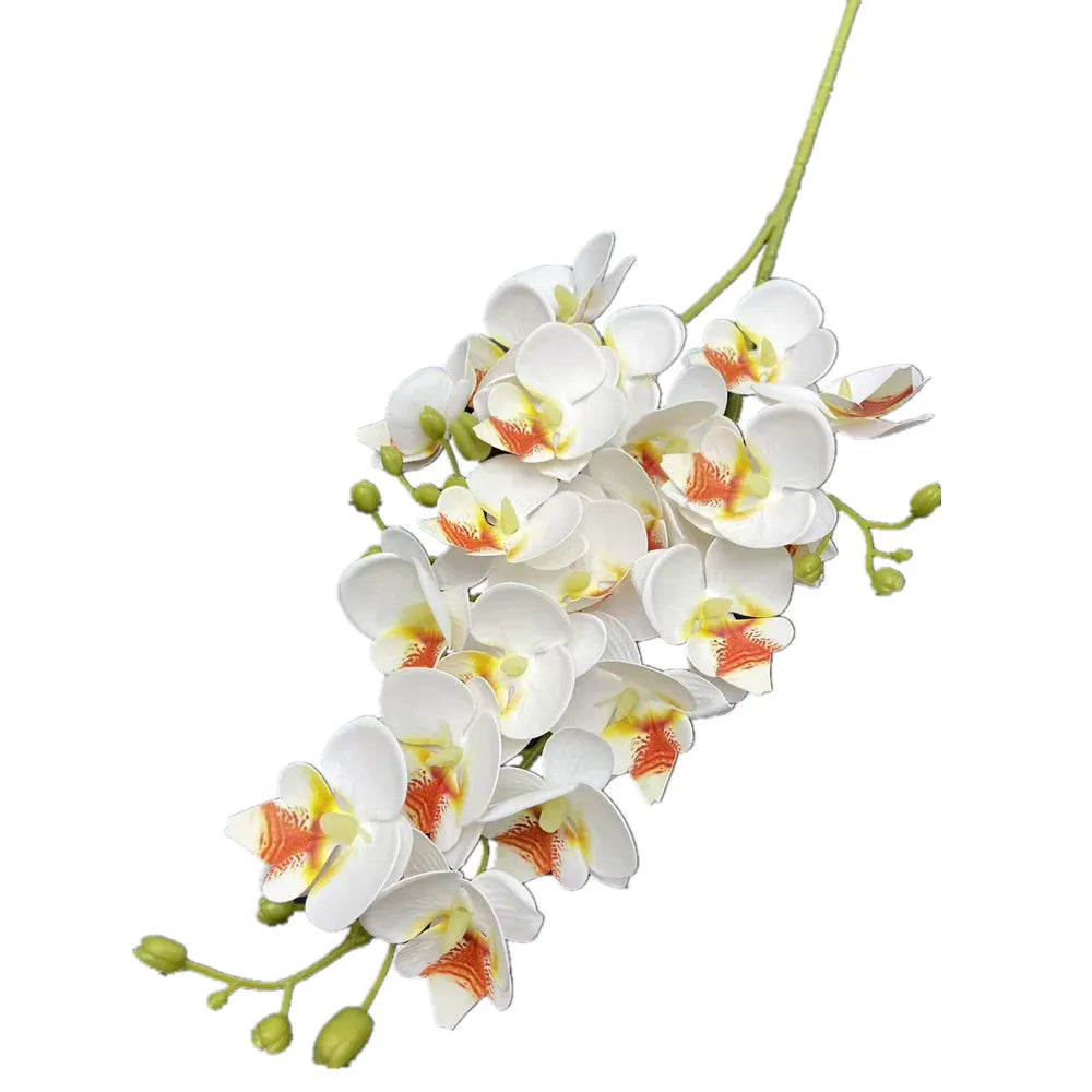 A cluster of white and orange orchid blooms on a green stem.