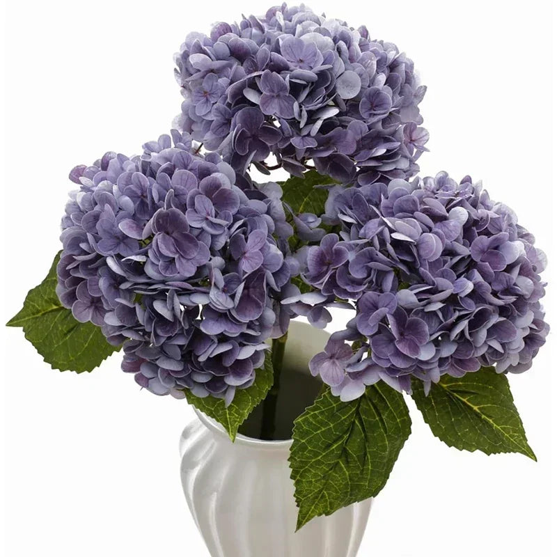 A bouquet of large purple hydrangea flowers with green leaves in a white vase.