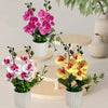 Artificial Phalaenopsis orchids in pink and yellow bloom displayed in white pots on a wooden stand.