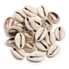 Natural Sea Snail Shell Beads for DIY Jewelry Making