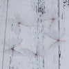 Several translucent, delicate organza butterfly embellishments are scattered on a white wooden surface.