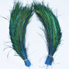 A pair of vibrant green and blue peacock feathers displayed against a white background.