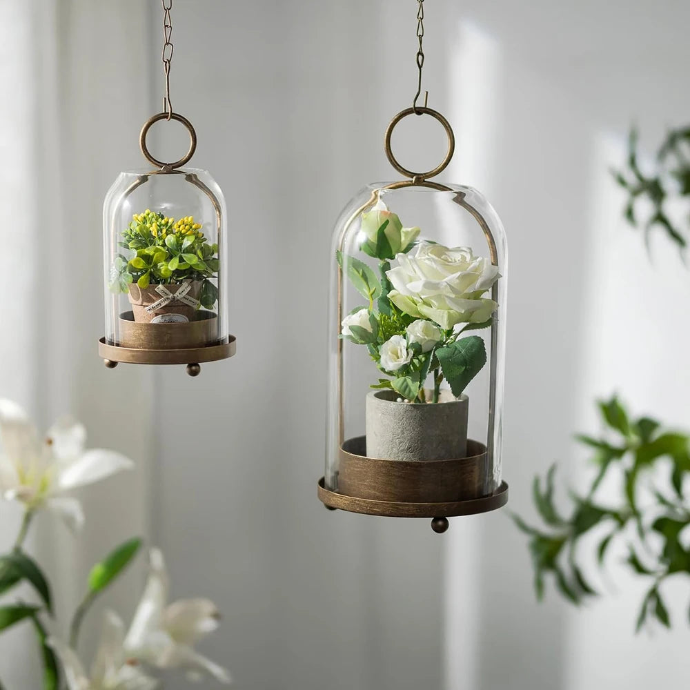 Antique brass metal candle holders with glass domes displaying small potted plants.