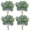 Four clusters of green eucalyptus leaves on brown stems for vase decor and wedding arrangements