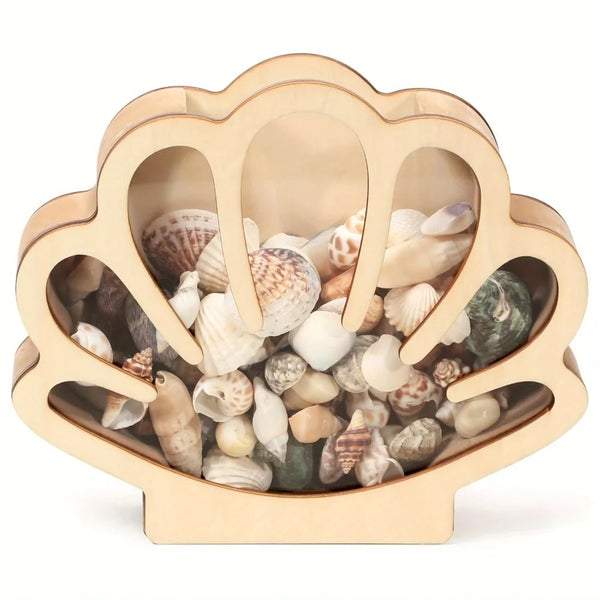 A light wooden display box shaped like a clam shell with an acrylic window filled with small seashells.