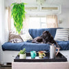 Artificial Fern Hanging Vines for Home Decor