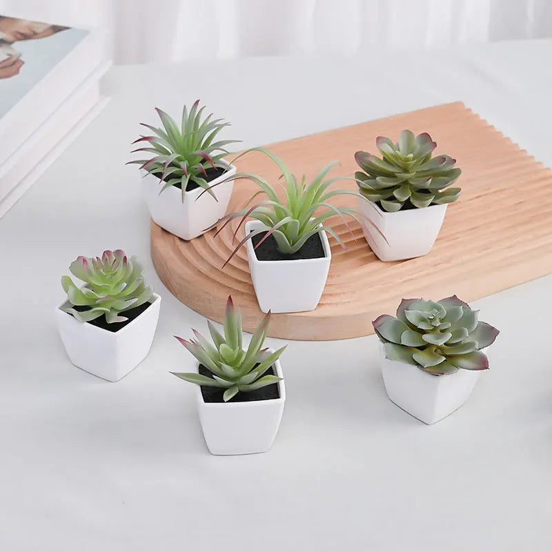 A set of mini artificial succulent decorations in white pots arranged on a wooden board.