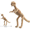 A light brown dinosaur skeleton model with a scale indicating its length of 8.6 cm.