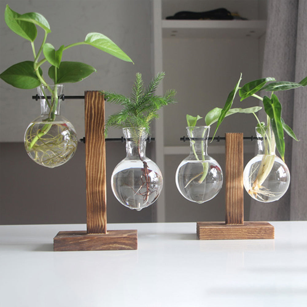 Glass bulb planters with live plants displayed on wooden stands for desk decor