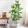 An artificial bamboo branch with green leaves stands in a white pot next to a stack of books and a metal teapot.