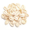 Natural Sea Snail Shell Beads for DIY Jewelry Making