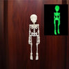 A set of poseable magnetic skull fridge magnets showing a full skeletal structure in white and green.