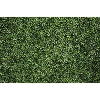Dense green tropical jungle leaf photography backdrop for parties and studio shoots