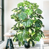 A large artificial monstera plant with green and white patterned silk leaves displayed indoors.