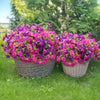 Two woven baskets filled with vibrant pink and purple artificial silk flowers on a green lawn.