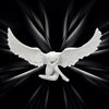 A white resin angel wing figurine with a serene face spreads out against a dark, radiating background.