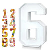 A set of fillable cardboard numbers 1 through 9 displayed next to a large, white number 6.
