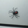 Magnetic Black Widow Spider Fridge Magnet – Halloween Decorative Sticker