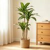 An artificial Dracaena tree in a woven basket stands next to a wooden dresser and a light-colored armchair by a window.