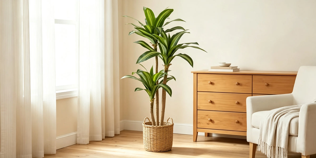 An artificial Dracaena tree in a woven basket stands next to a wooden dresser and a light-colored armchair by a window.