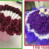 A bouquet of deep burgundy roses with small teddy bears in a purple wrapping