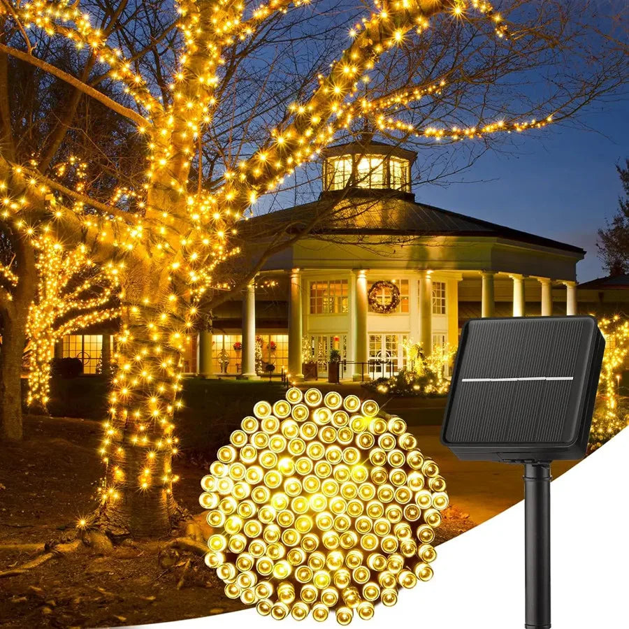 A close-up of solar powered outdoor fairy string lights illuminating a tree and building at dusk.