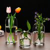 Three clear glass hydroponic vases display vibrant pink and orange tulips and green plants on a wooden surface.